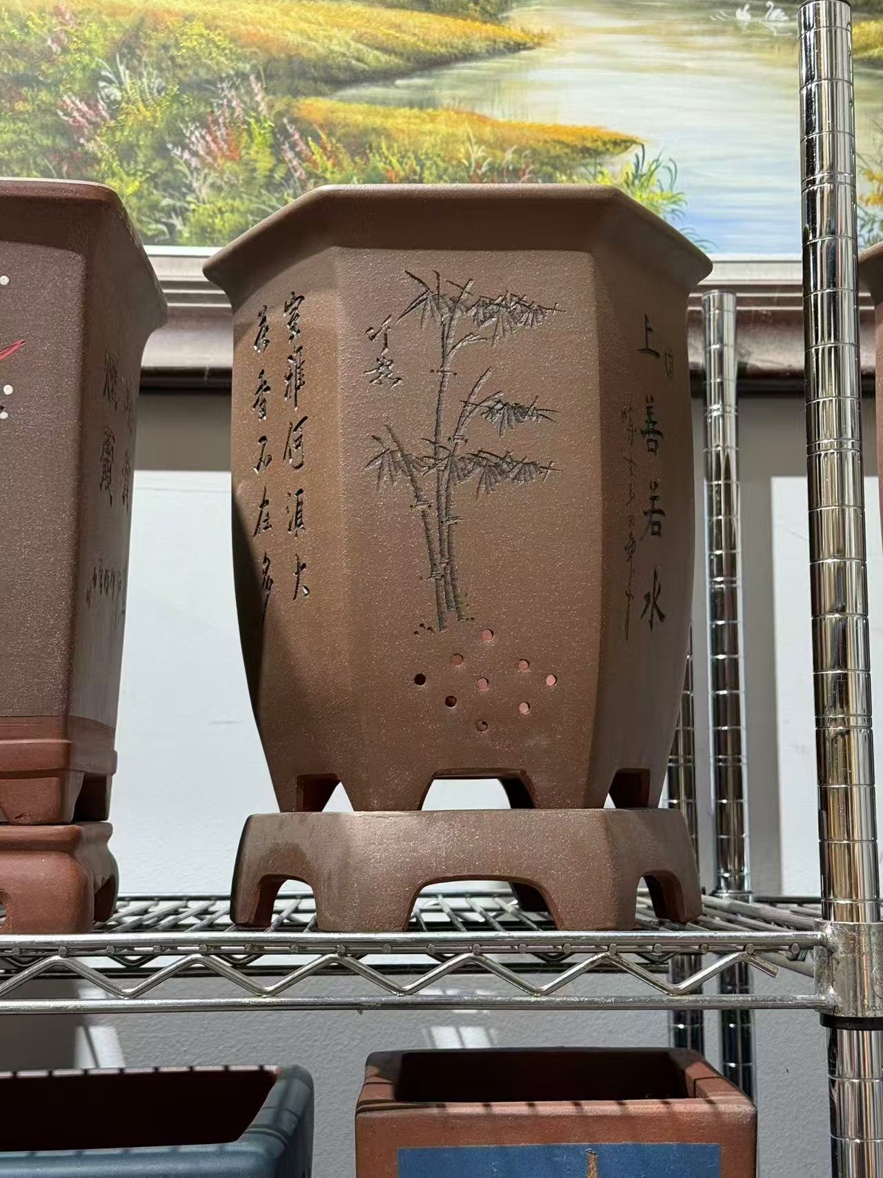 未核对盆栽2