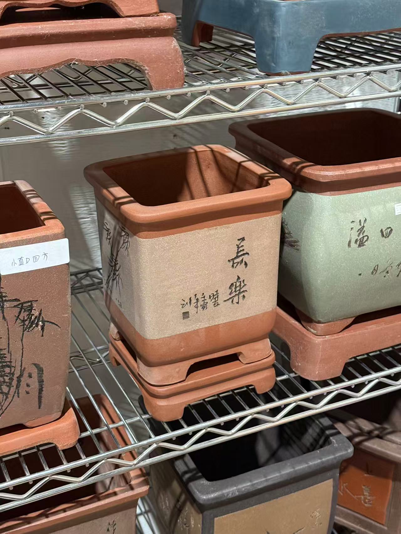 未核对盆栽16