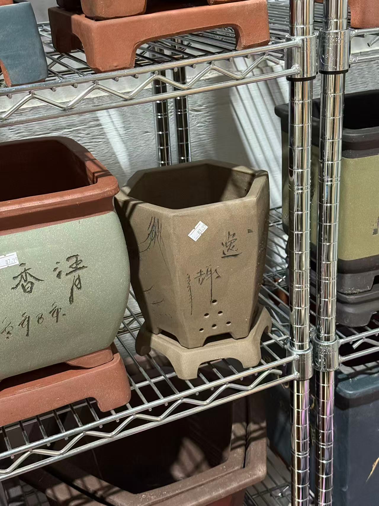 未核对盆栽18