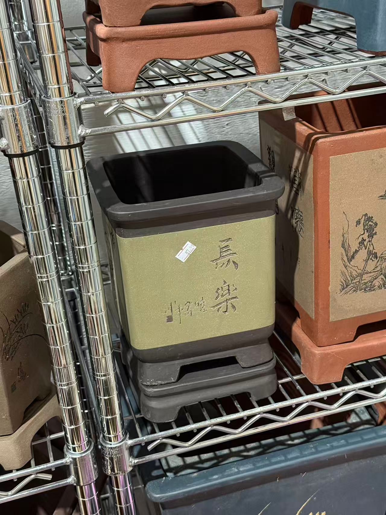 未核对盆栽19