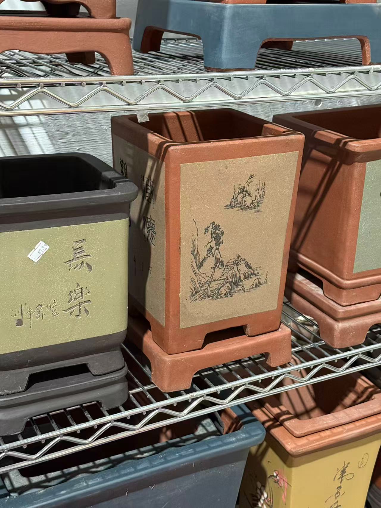 未核对盆栽20