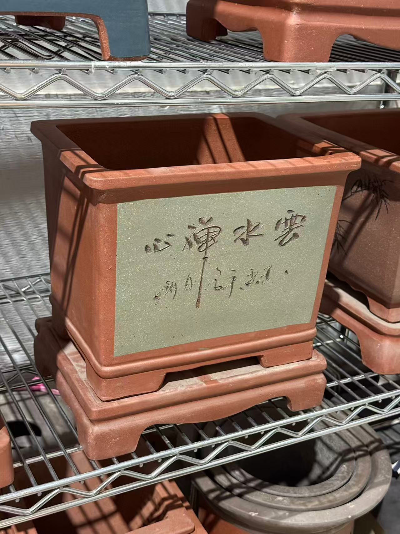 未核对盆栽21