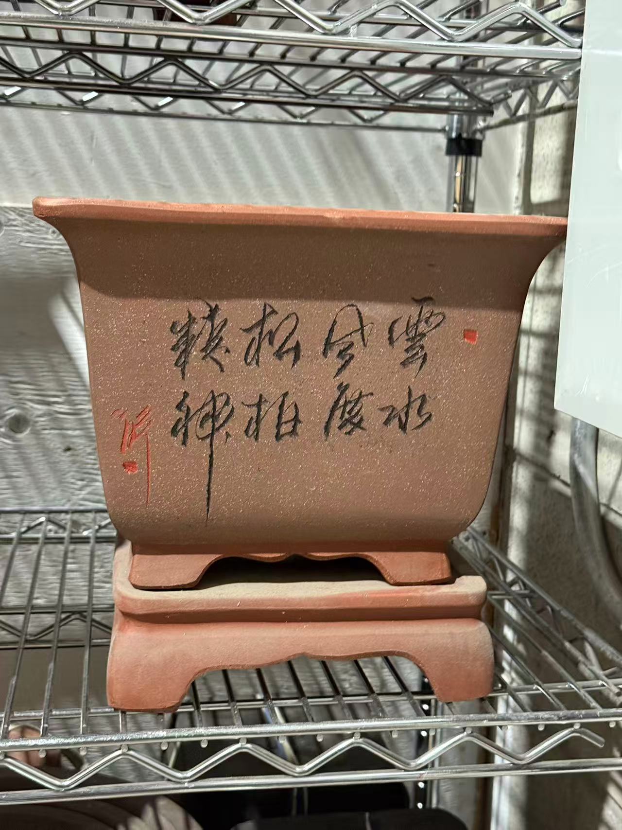 未核对盆栽22