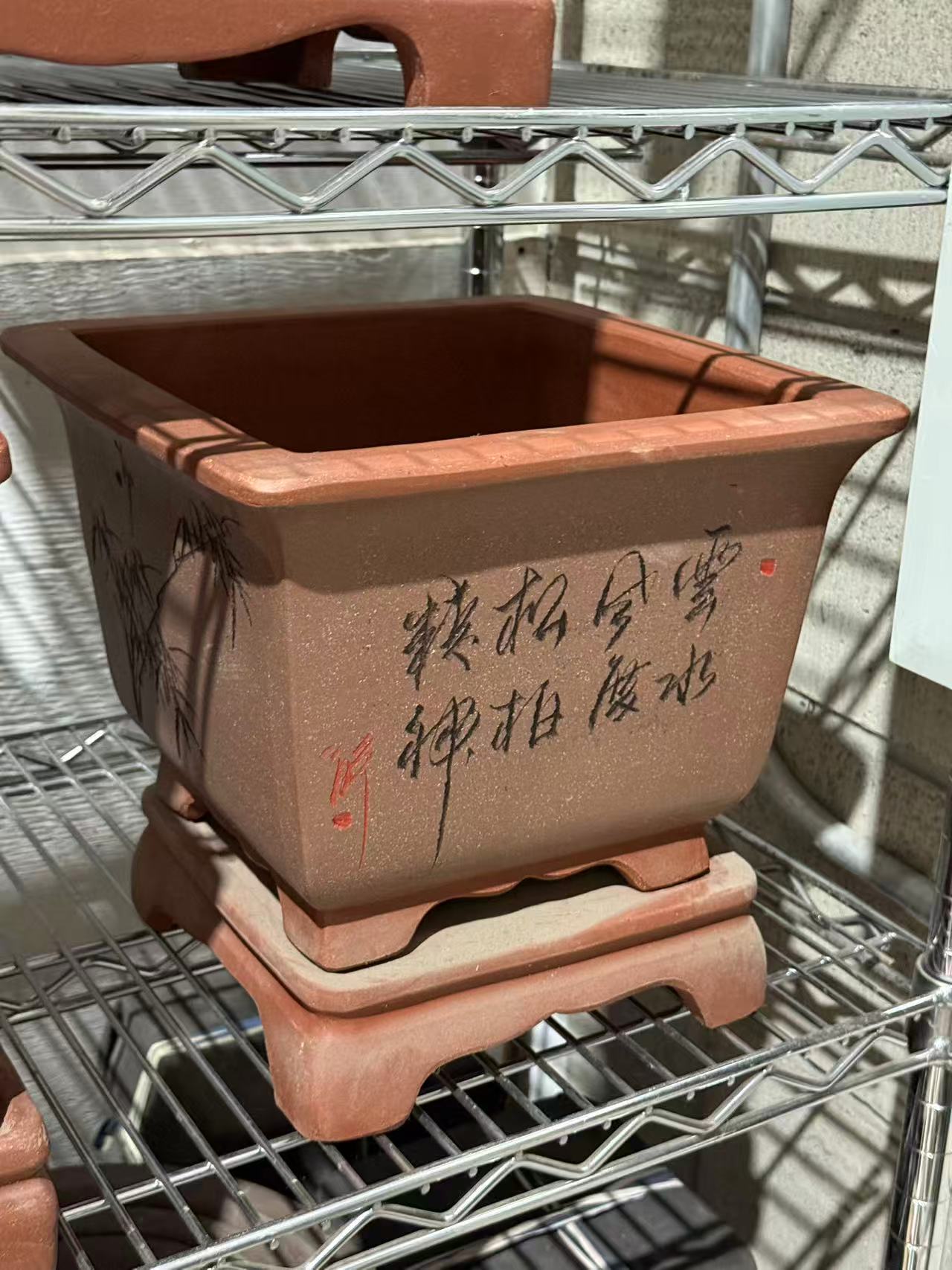 未核对盆栽22