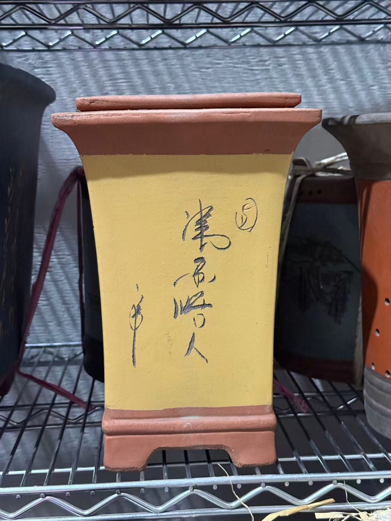 未核对盆栽23