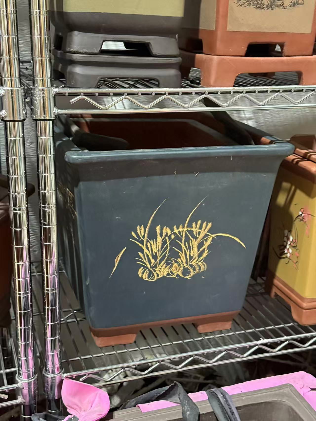 未核对盆栽25