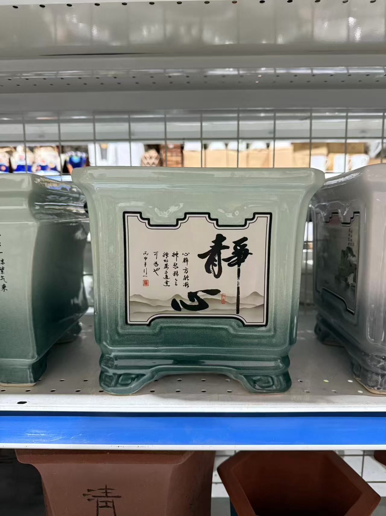 未核对盆栽40