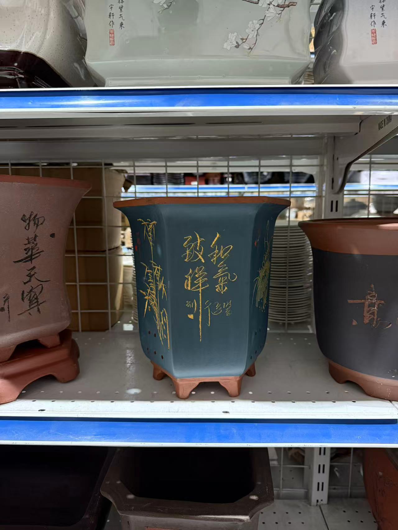 未核对盆栽51