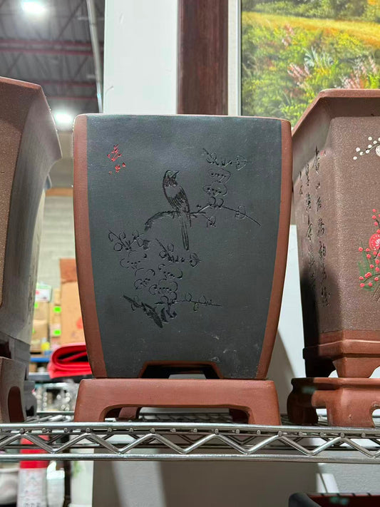 未核对盆栽1
