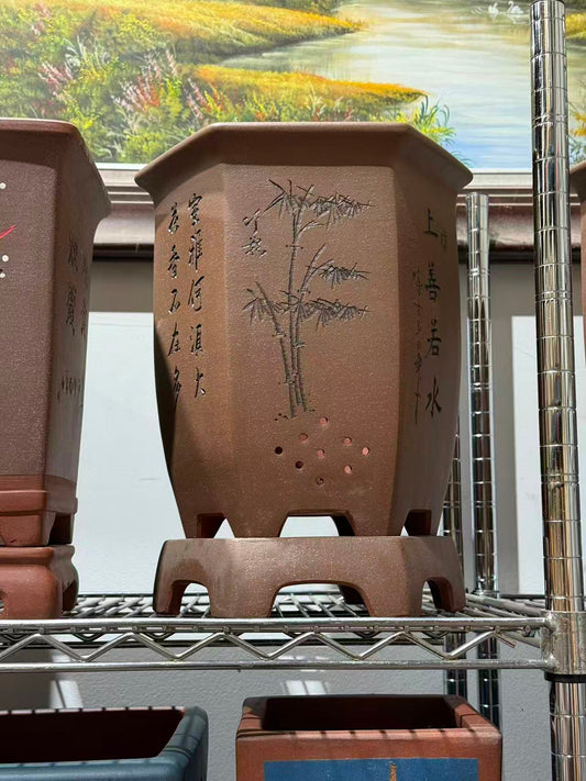 未核对盆栽2