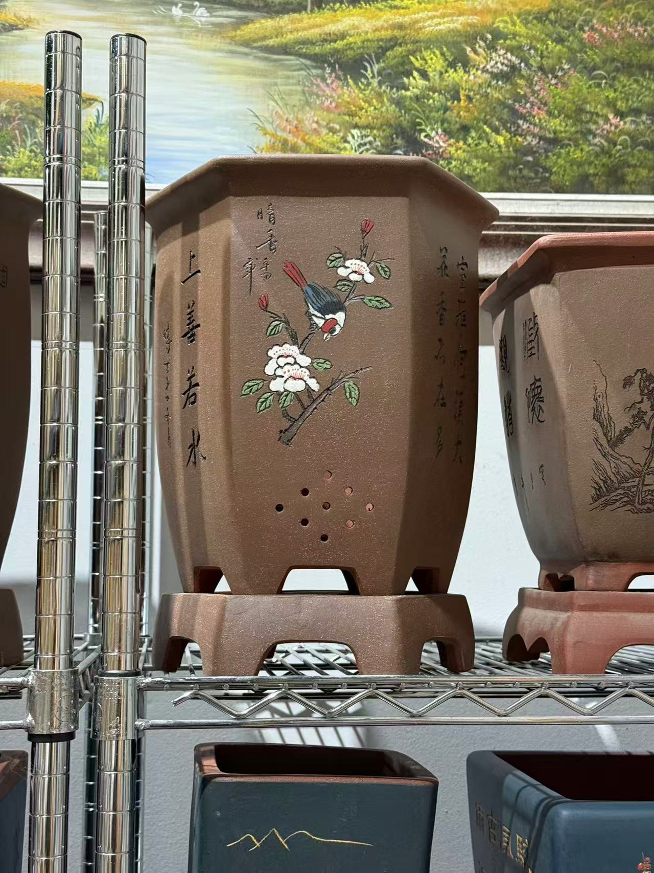 未核对盆栽3
