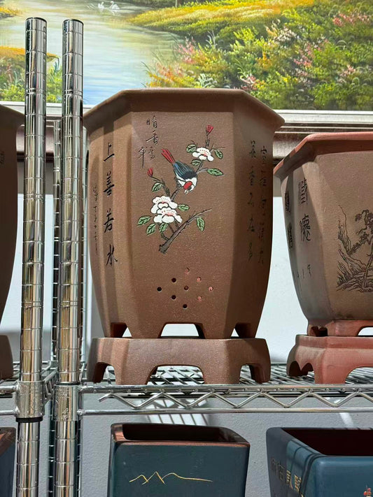未核对盆栽3