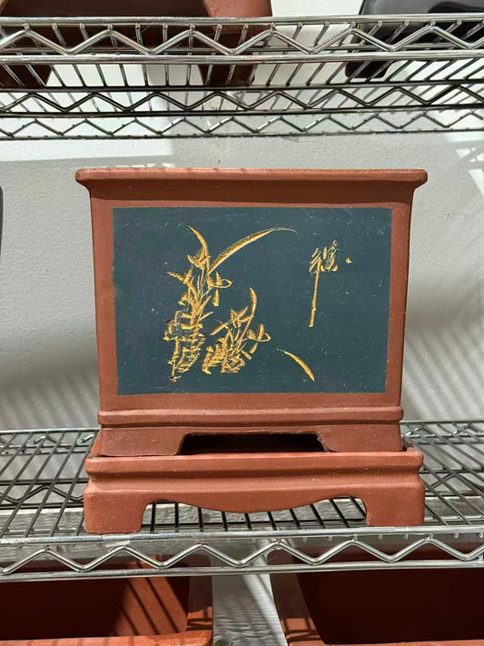 未核对盆栽7