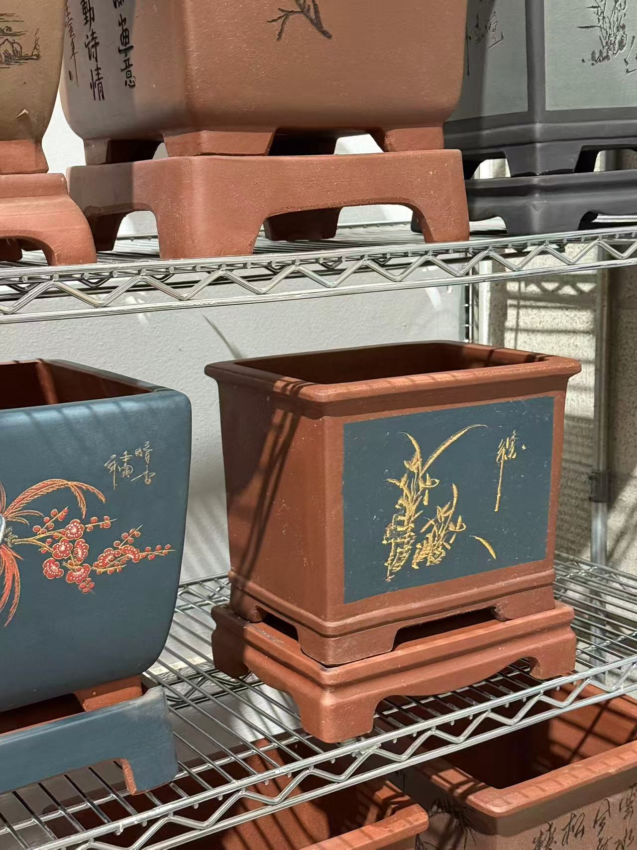 未核对盆栽7