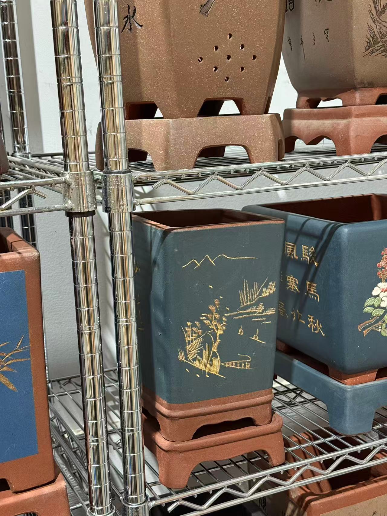未核对盆栽9