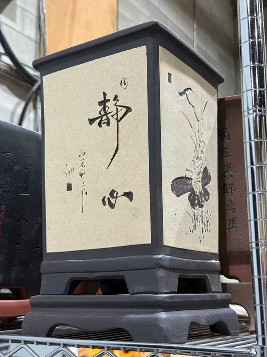 未核对盆栽14