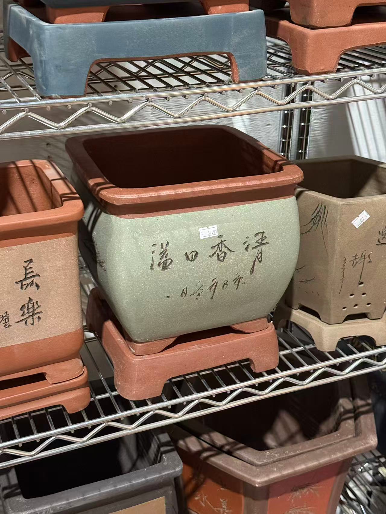 未核对盆栽17