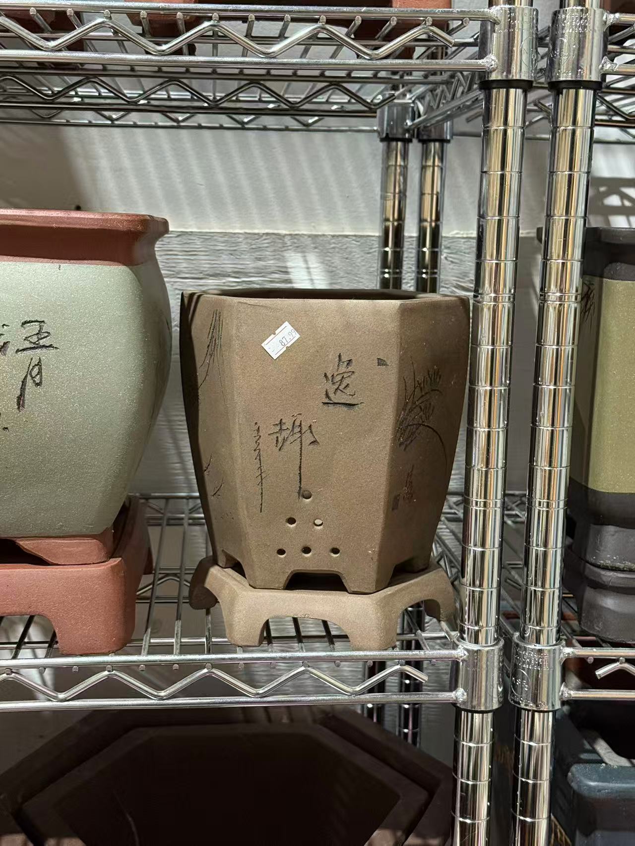 未核对盆栽18