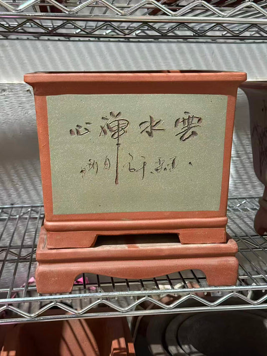 未核对盆栽21