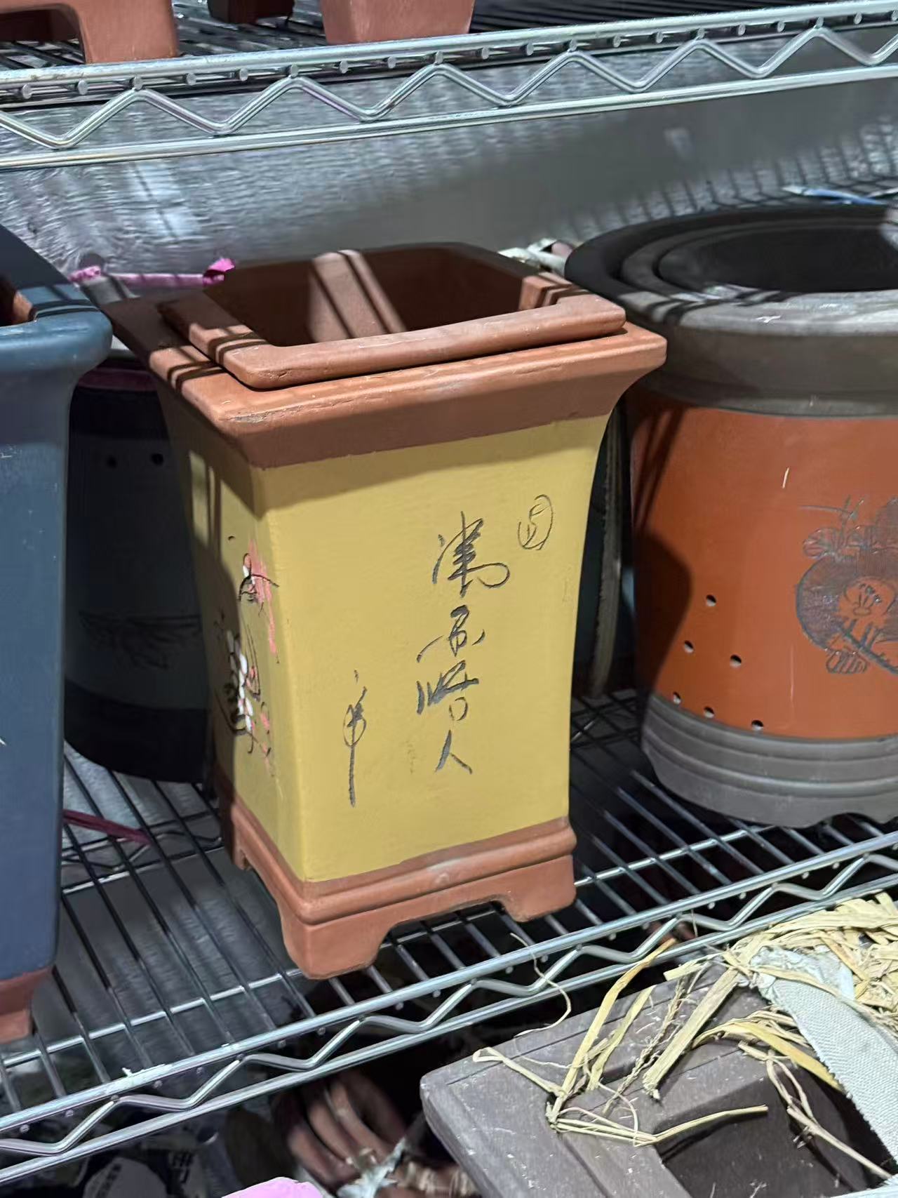 未核对盆栽23