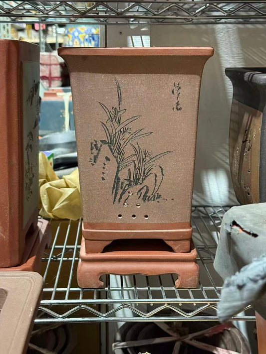 未核对盆栽28