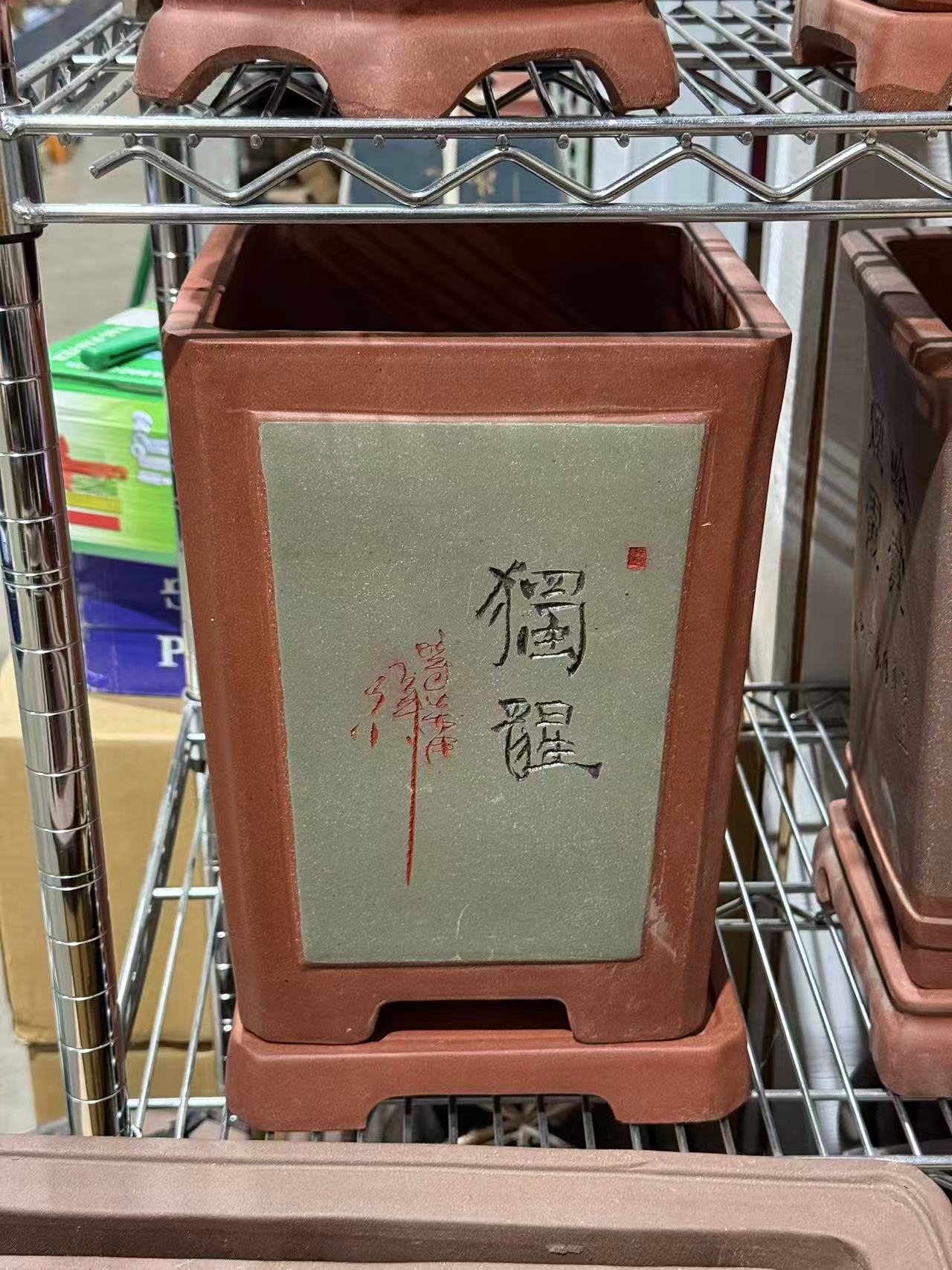 未核对盆栽29