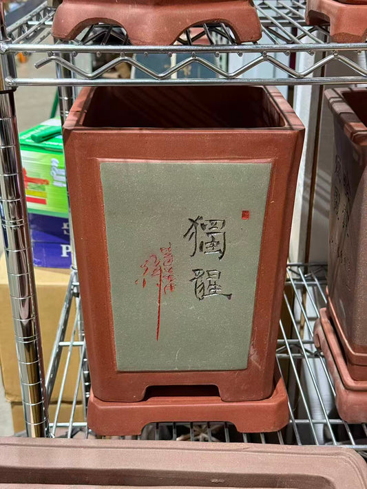 未核对盆栽29