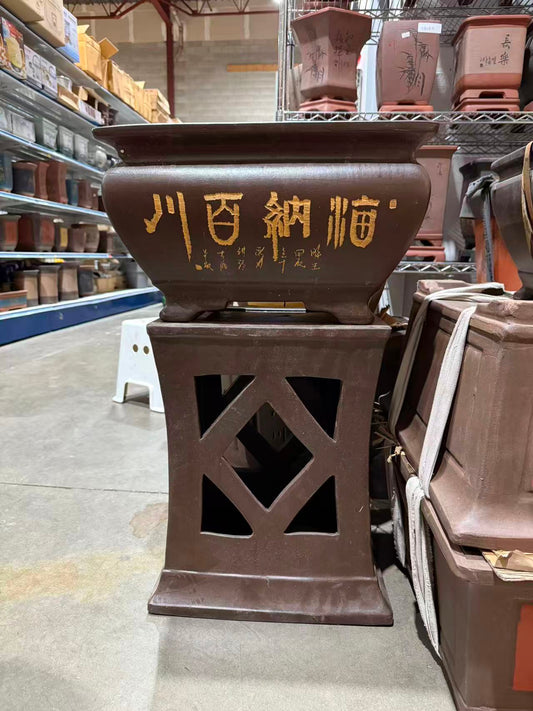 未核对盆栽30