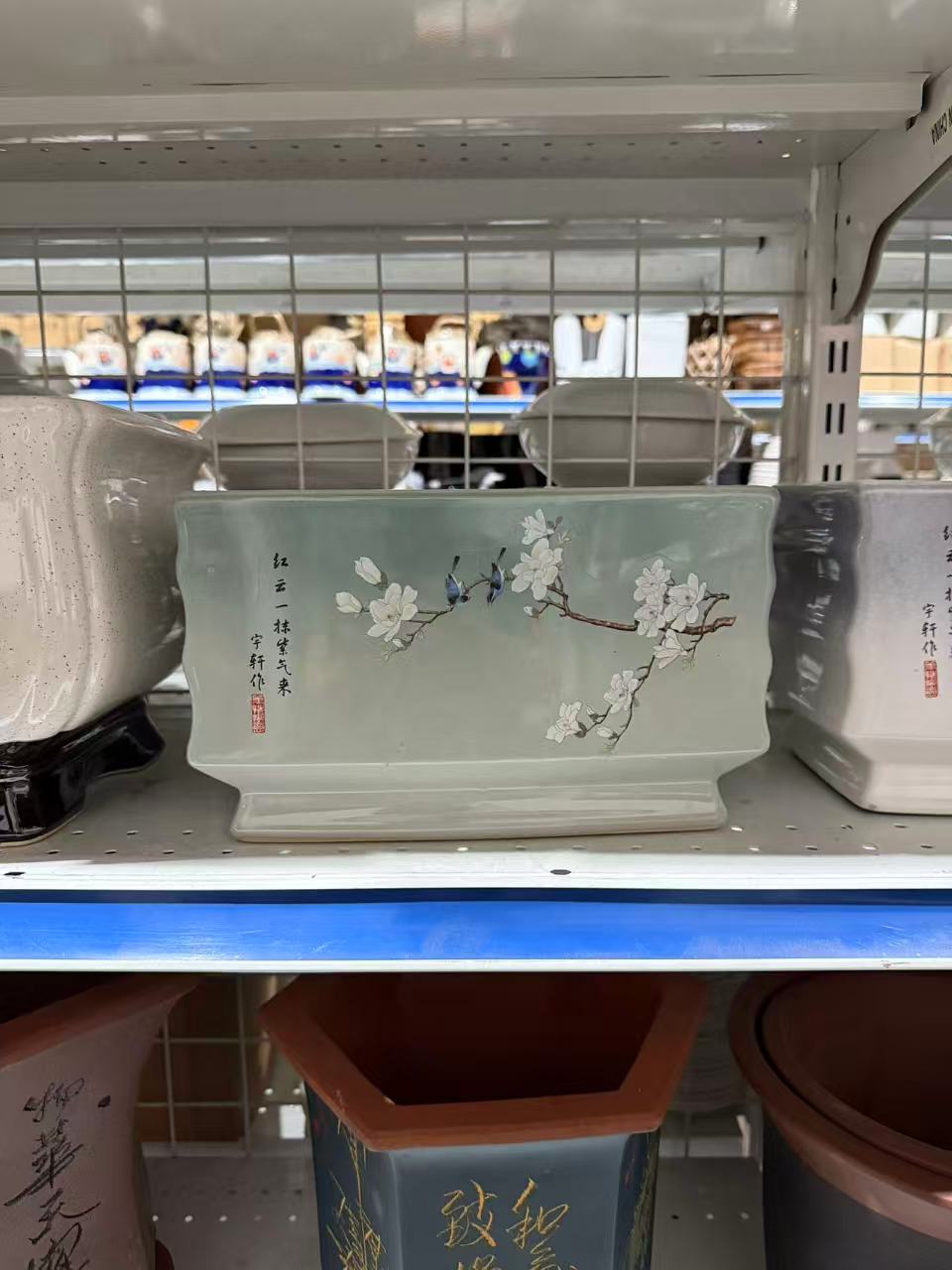 未核对盆栽37
