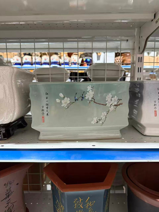 未核对盆栽37