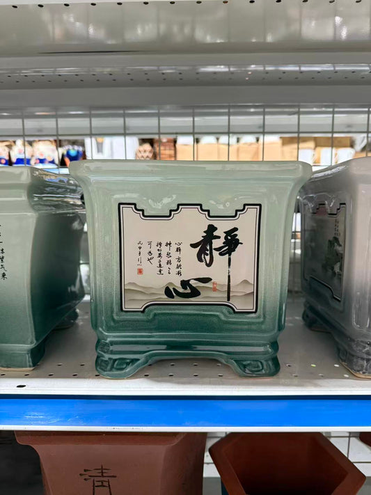 未核对盆栽40