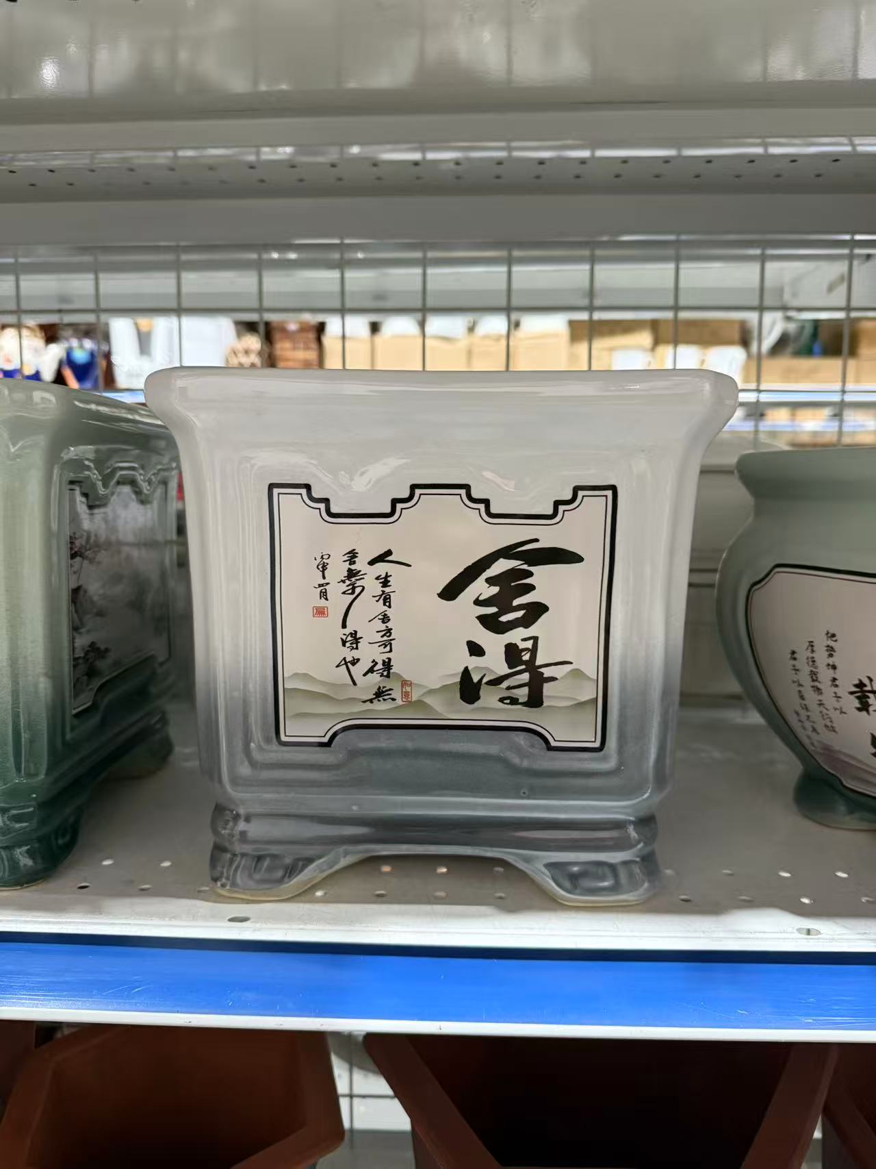 未核对盆栽41