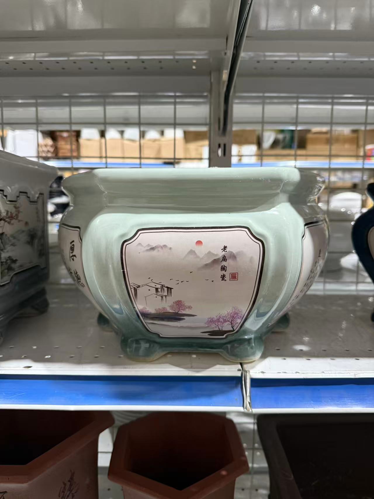 未核对盆栽42
