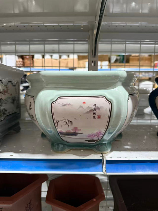 未核对盆栽42