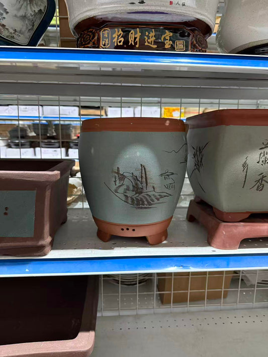 未核对盆栽47