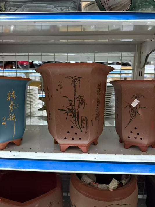 未核对盆栽49