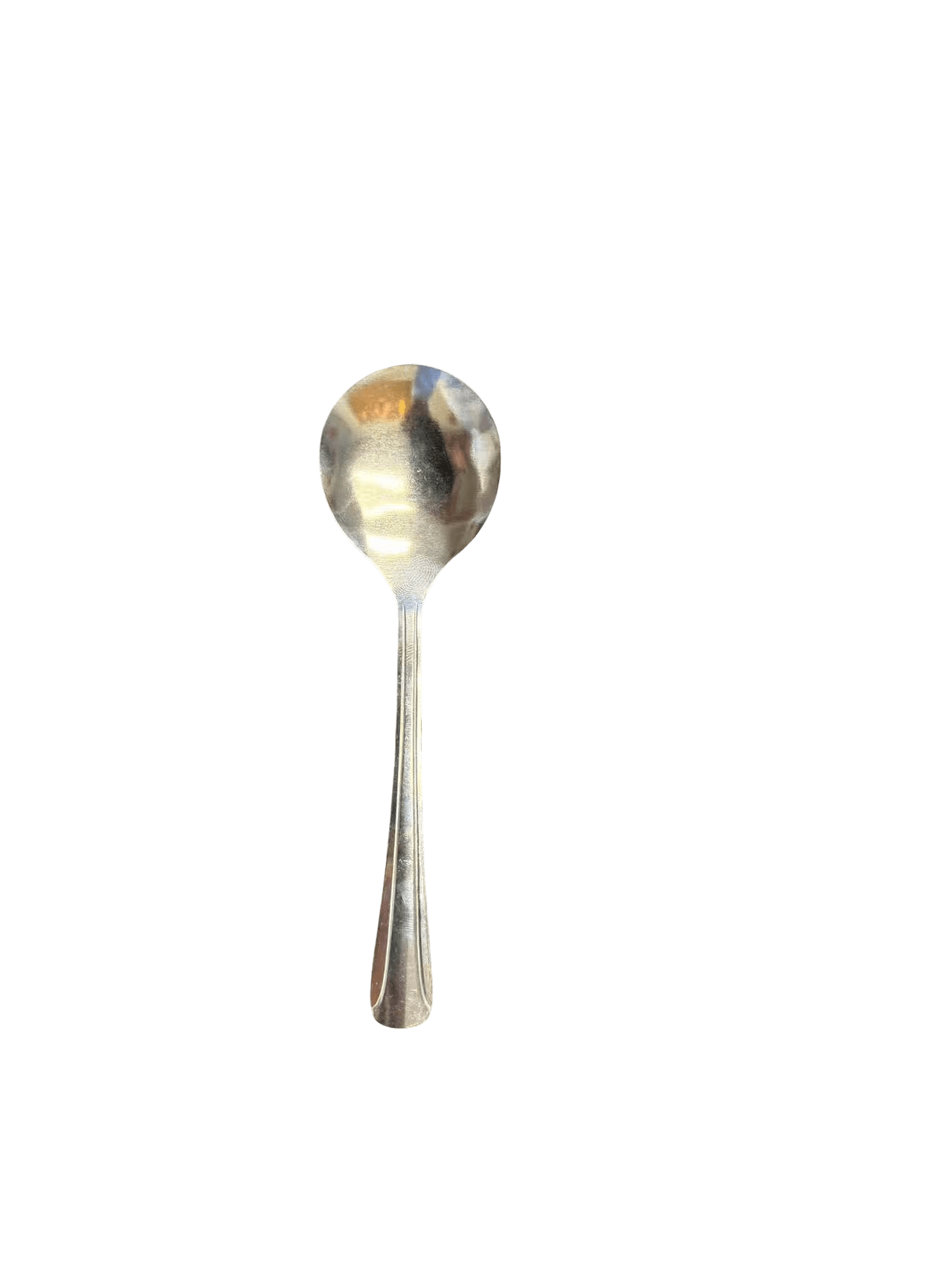 Stainless Steel Serving Spoon - OMECA wholesale LTD.